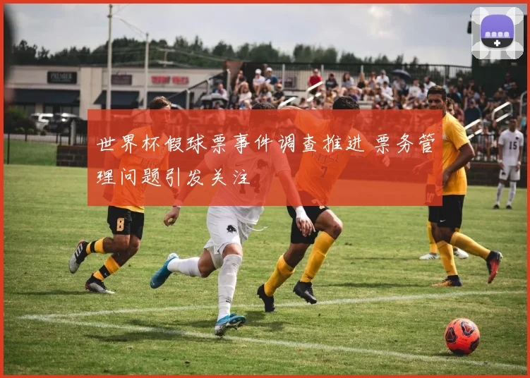 世界杯假球票事件调查推进 票务管理问题引发关注