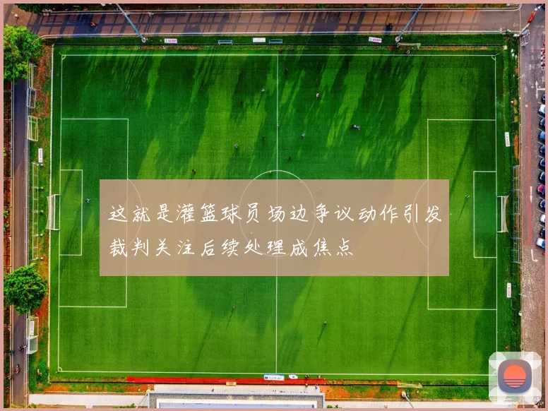 这就是灌篮球员场边争议动作引发裁判关注后续处理成焦点
