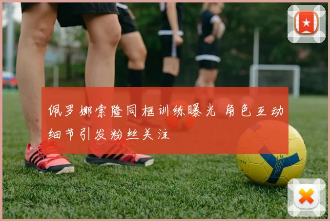 佩罗娜索隆同框训练曝光 角色互动细节引发粉丝关注